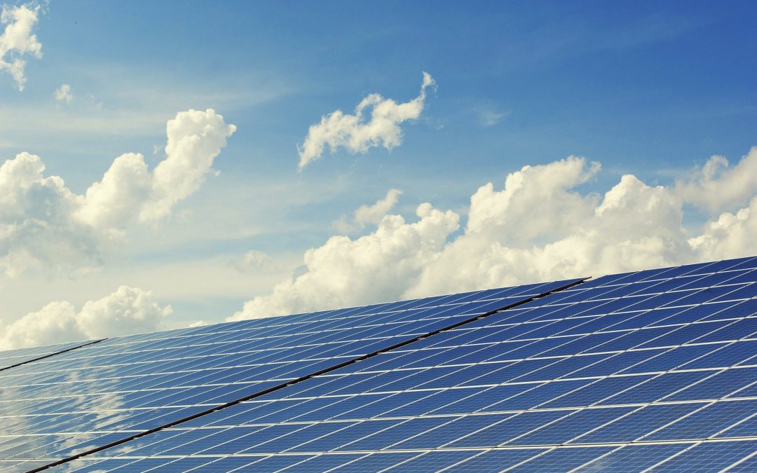 Visites du site photovoltaïque de Brach