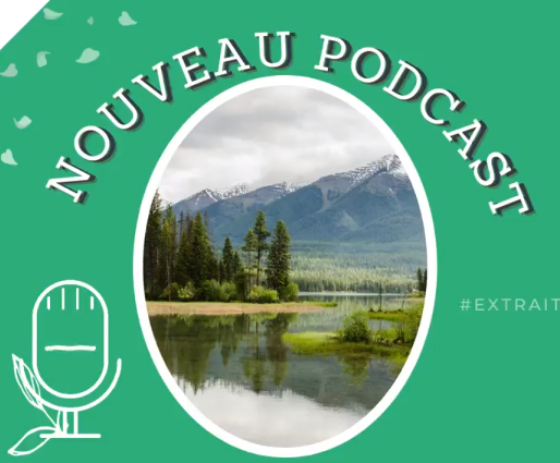 Podcast Tout Faire dans la Dentelle