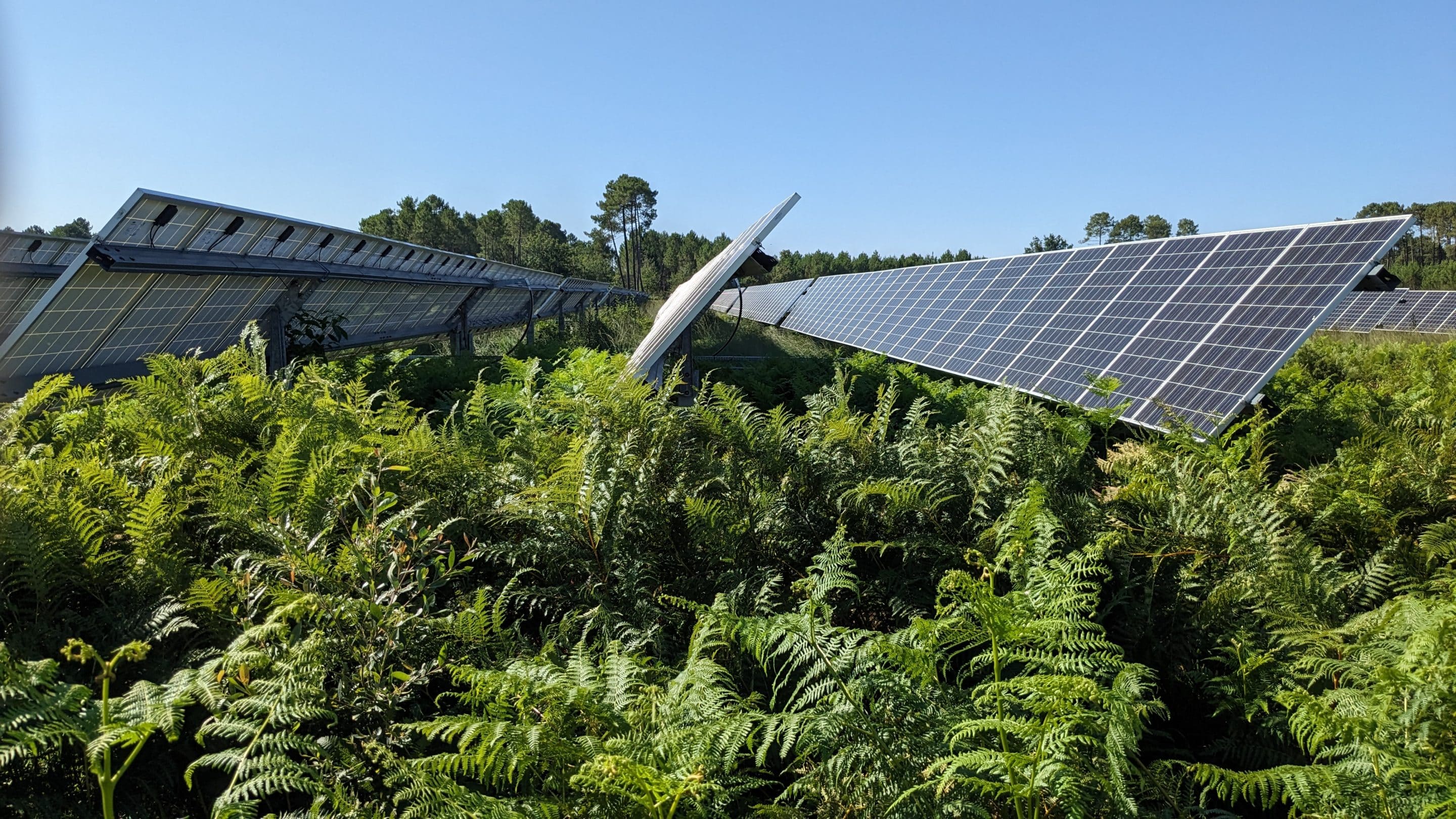 Visite du site photovoltaïque de Brach